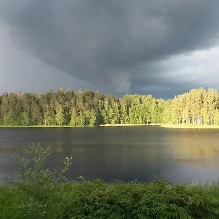 Ezerkalni *
